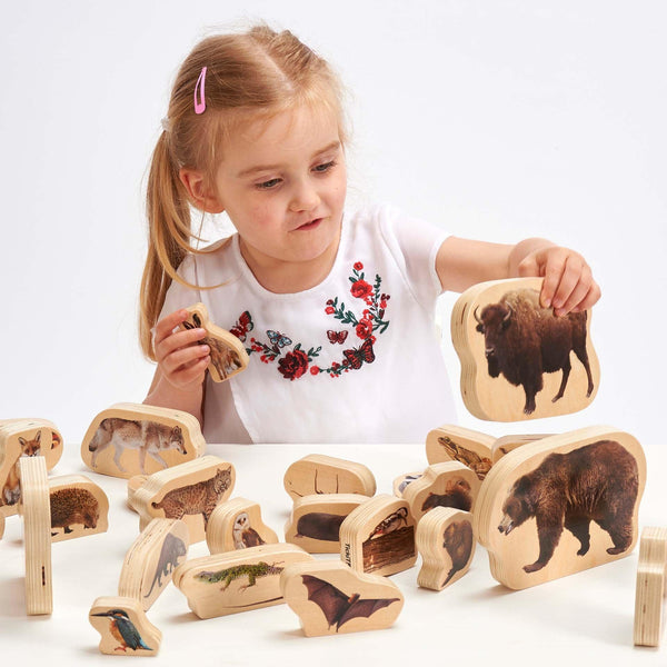 Wooden Forest Animal Blocks