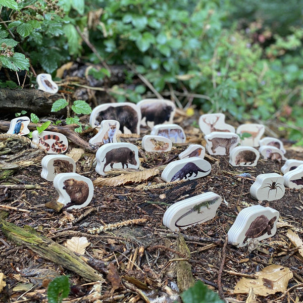 Wooden Forest Animal Blocks