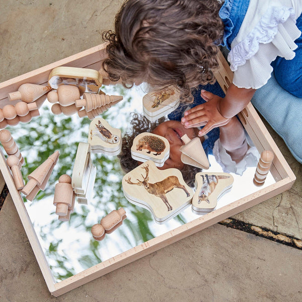 Wooden Forest Animal Blocks