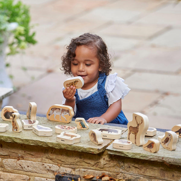 Wooden Forest Animal Blocks