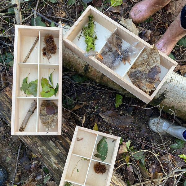 Wooden Discovery Boxes