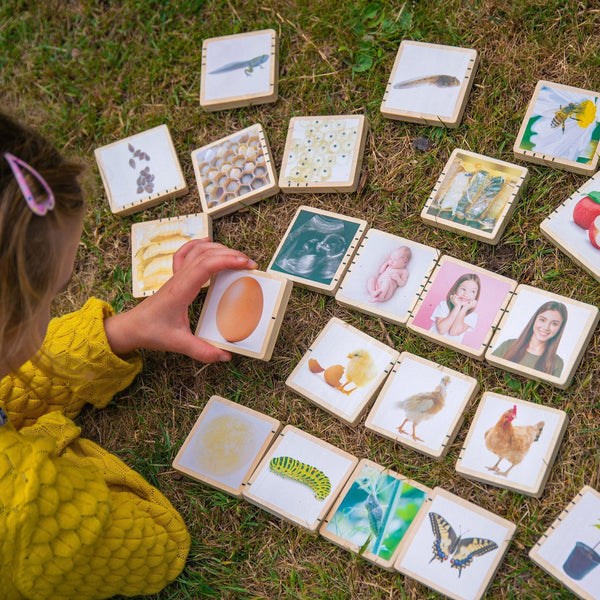 Wooden Lifecycle Tiles