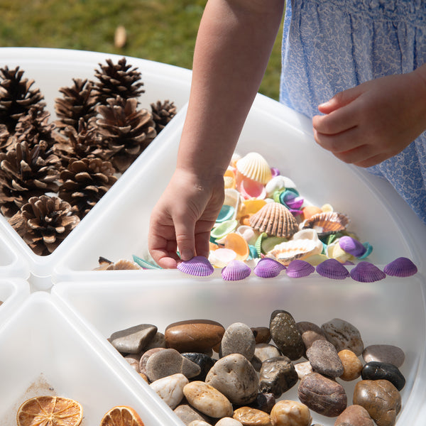 Discovery Trays