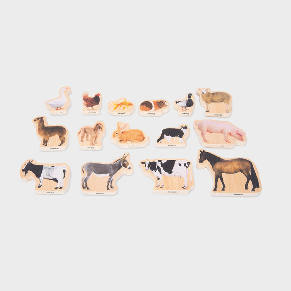 Wooden Domestic Animal Blocks