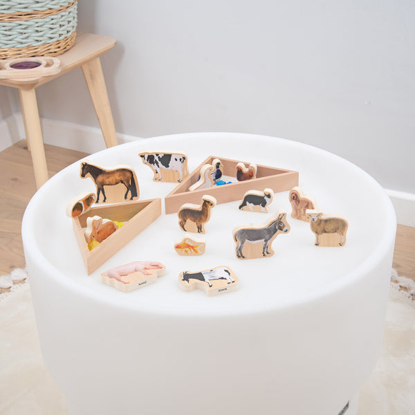 Wooden Domestic Animal Blocks