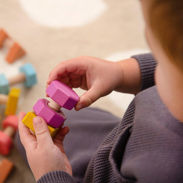 Rainbow Wooden Nuts & Bolts