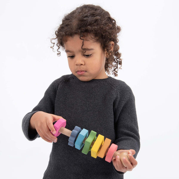 Rainbow Wooden Shape Twister