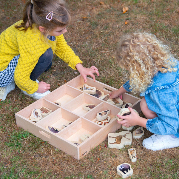 Wooden Sorting Tray - 7 way