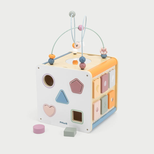 8 in 1 Activity Cube