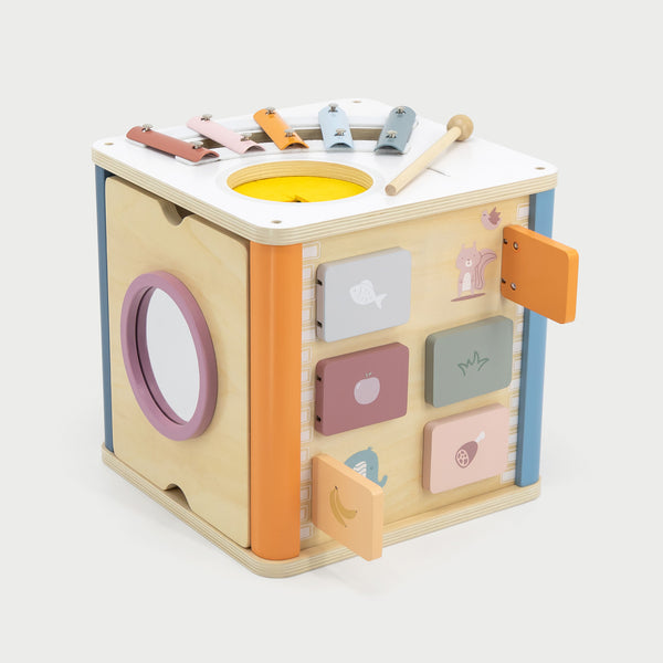 8 in 1 Activity Cube