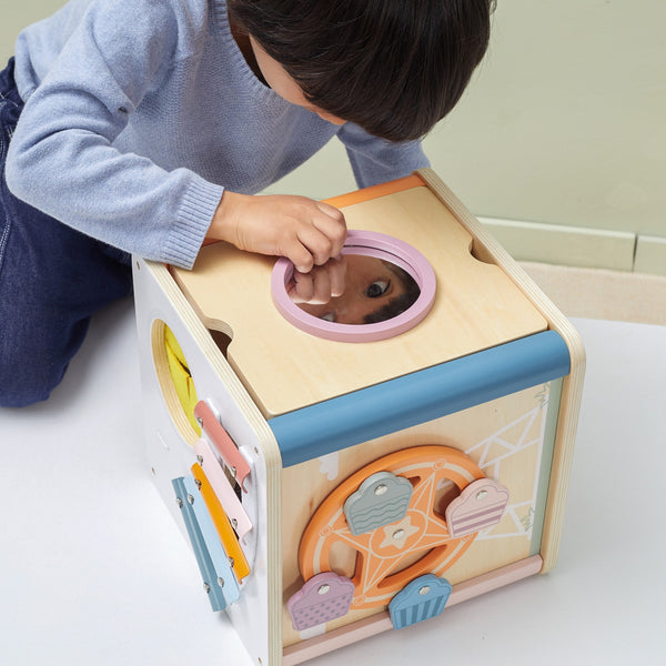 8 in 1 Activity Cube