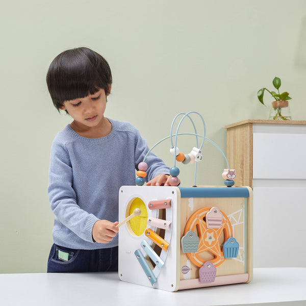 8 in 1 Activity Cube