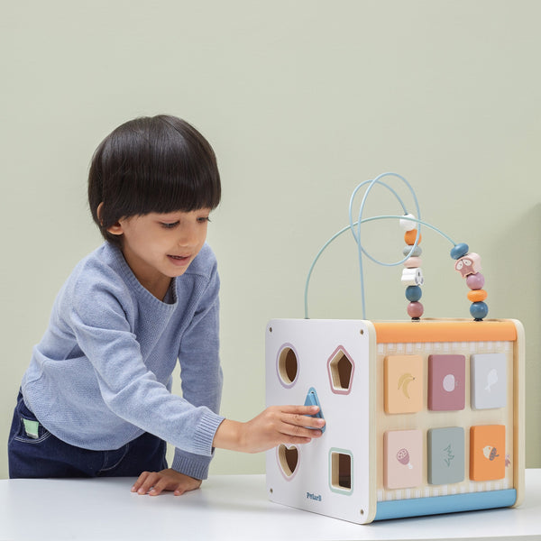 8 in 1 Activity Cube