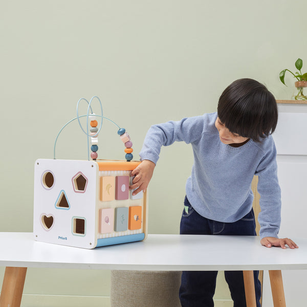 8 in 1 Activity Cube