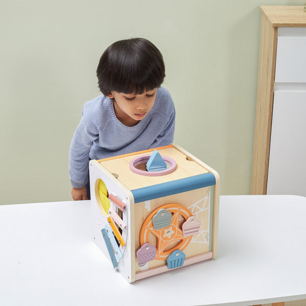 8 in 1 Activity Cube